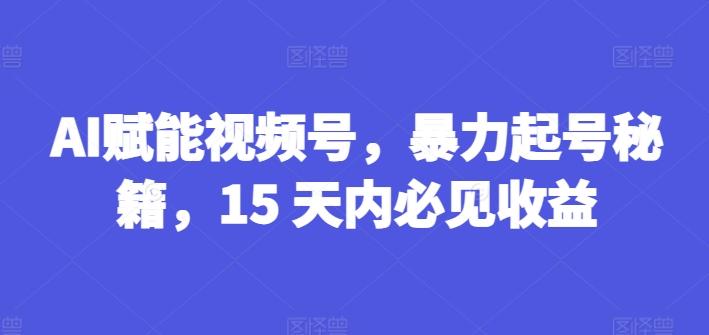 AI赋能视频号，暴力起号秘籍，15 天内必见收益【揭秘】网赚项目-副业赚钱-互联网创业-资源整合羊师傅网赚