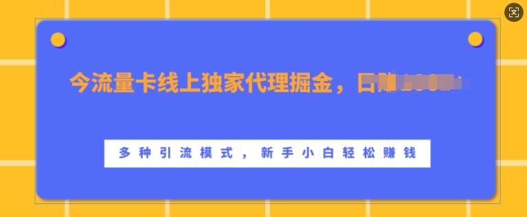 流量卡线上独家代理掘金，日入1k+ ，多种引流模式，新手小白轻松上手【揭秘】网赚项目-副业赚钱-互联网创业-资源整合羊师傅网赚