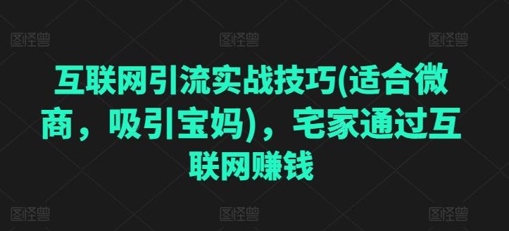 互联网引流实战技巧(适合微商，吸引宝妈)，宅家通过互联网赚钱网赚项目-副业赚钱-互联网创业-资源整合羊师傅网赚