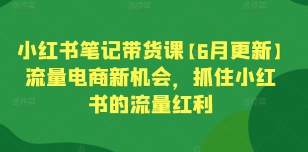 小红书笔记带货课【6月更新】流量电商新机会，抓住小红书的流量红利网赚项目-副业赚钱-互联网创业-资源整合羊师傅网赚