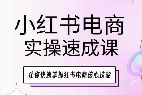 小红书电商实操速成课，让你快速掌握红书电商核心技能网赚项目-副业赚钱-互联网创业-资源整合羊师傅网赚