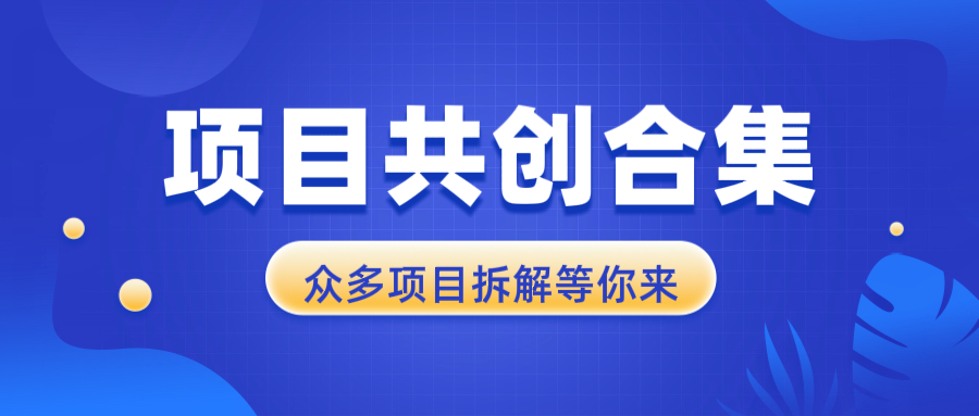 项目共创合集，从0-1全过程拆解，让你迅速找到适合自已的项目网赚项目-副业赚钱-互联网创业-资源整合羊师傅网赚