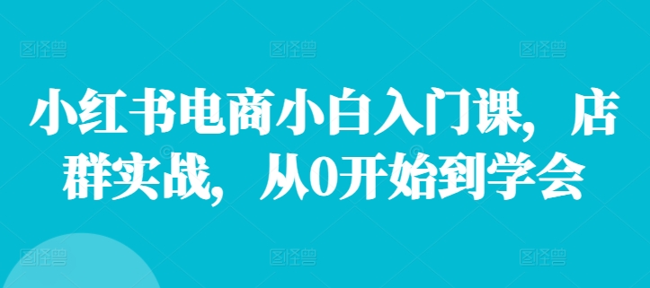 小红书电商小白入门课，店群实战，从0开始到学会网赚项目-副业赚钱-互联网创业-资源整合羊师傅网赚