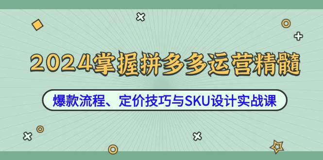 2024掌握拼多多运营精髓：爆款流程、定价技巧与SKU设计实战课网赚项目-副业赚钱-互联网创业-资源整合羊师傅网赚