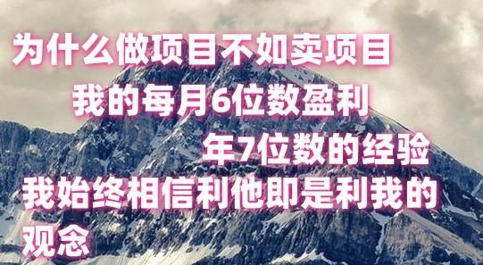 做项目不如卖项目，每月6位数盈利，年7位数经验网赚项目-副业赚钱-互联网创业-资源整合羊师傅网赚