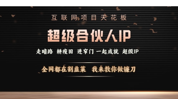 互联网项目天花板，超级合伙人IP，全网都在割韭菜，我来教你做镰刀【仅揭秘】网赚项目-副业赚钱-互联网创业-资源整合羊师傅网赚